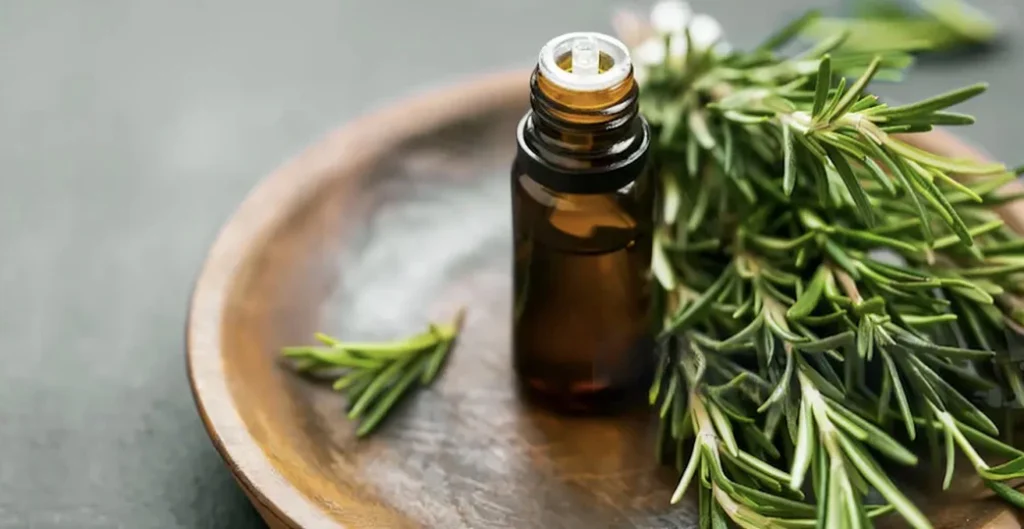 Rosemary Oil For Growth