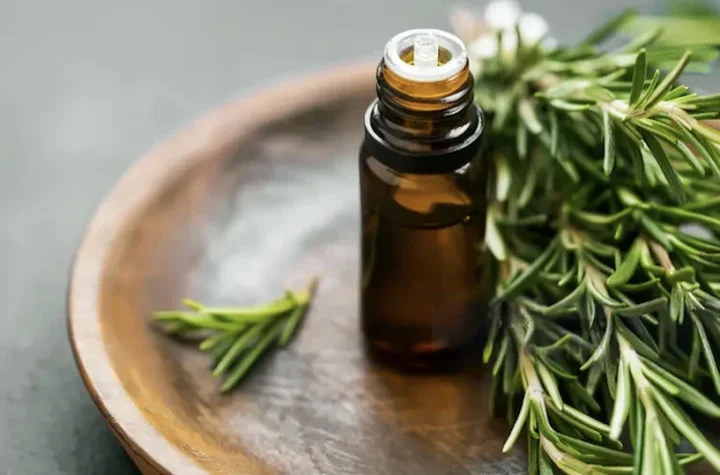 Rosemary Oil For Growth